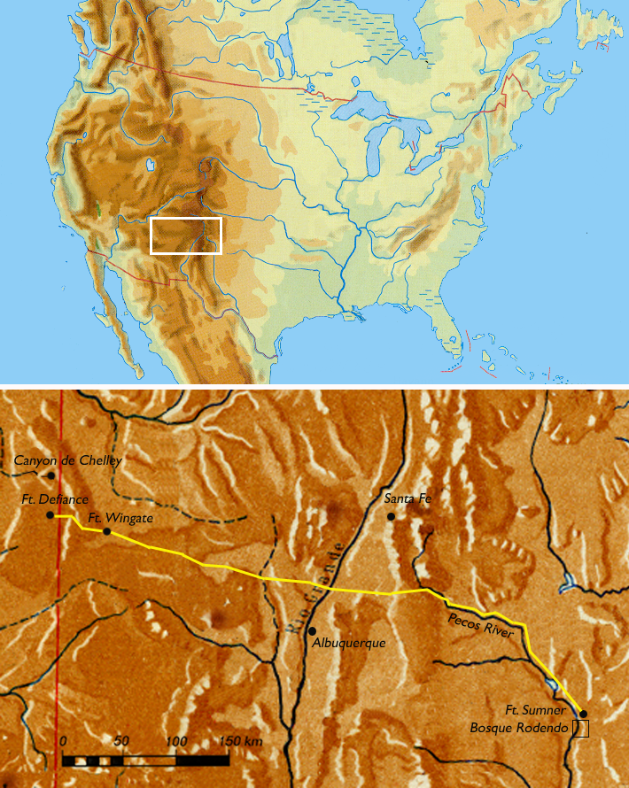 Map showing the route of the Navajo Long Walk. The upper panel shows the location of the march route within the continental United States, highlighted by a white rectangle in the Southwest. The lower panel details the approximately 300-mile route marked in yellow, beginning near Canyon de Chelly and Fort Defiance in present-day Arizona, passing through Fort Wingate, and ending at Fort Sumner and Bosque Redondo in eastern New Mexico, east of the Pecos River.