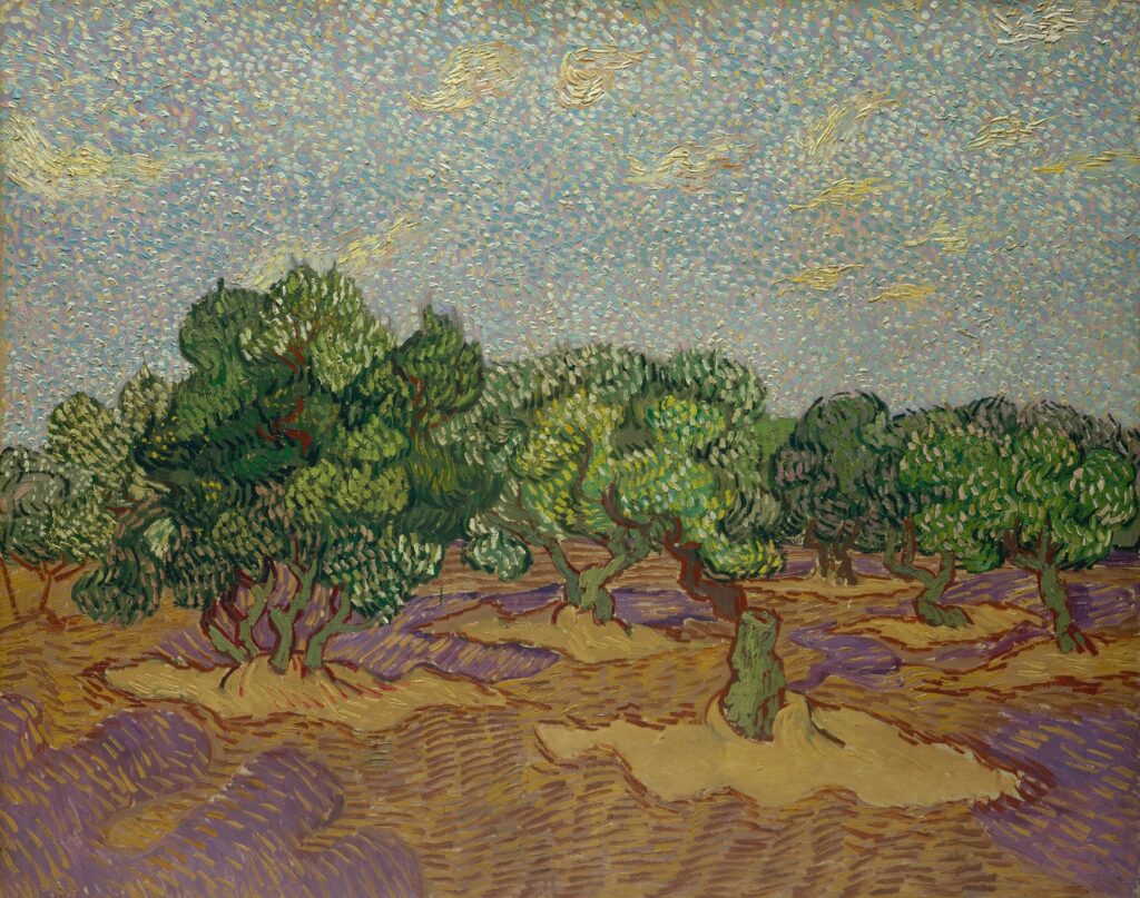 A richly textured oil painting of a sunlit olive grove: gnarled trunks and dense, wavy green foliage stand amid a golden field streaked with lavender shadows, all beneath a pale, pointillist sky dotted and brushed with soft yellow clouds.