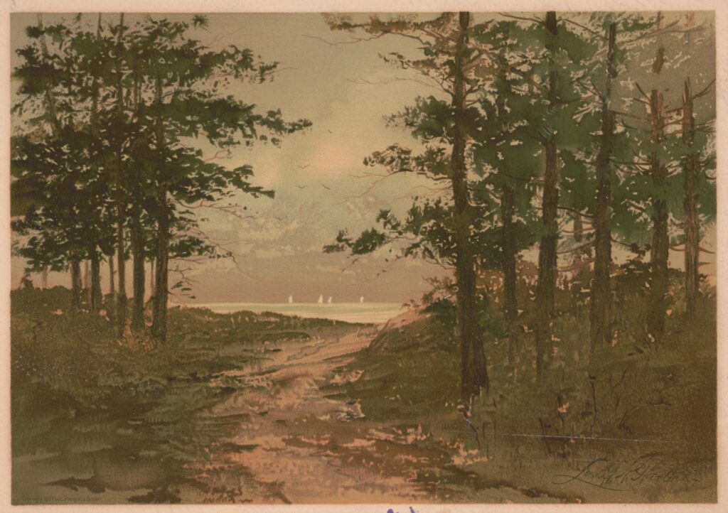 The artwork titled "A Glimpse of the Sound" by Louis Kinney Harlow depicts a tranquil landscape scene. The foreground features a muddy pathway flanked by rich, textured earth tones and scattered vegetation. Tall trees, rendered in dark green and brown hues, rise prominently on either side, creating a natural frame. Their detailed branches extend outward, casting dappled shadows on the ground. In the midground, a serene body of water, likely the sound, reflects soft pastel colors of yellow, pink, and blue, suggesting a gentle sunrise or sunset. Silhouettes of distant sailboats are visible on the water, adding a sense of depth and movement. The sky above transitions from muted greens to warm whites, hinting at an atmospheric light that enhances the calmness of the scene. The overall composition balances the dense tree cover with the openness of the water, inviting the viewer into this peaceful moment in nature. Harlow’s delicate brushwork and color palette evoke a sense of quiet beauty and contemplation.